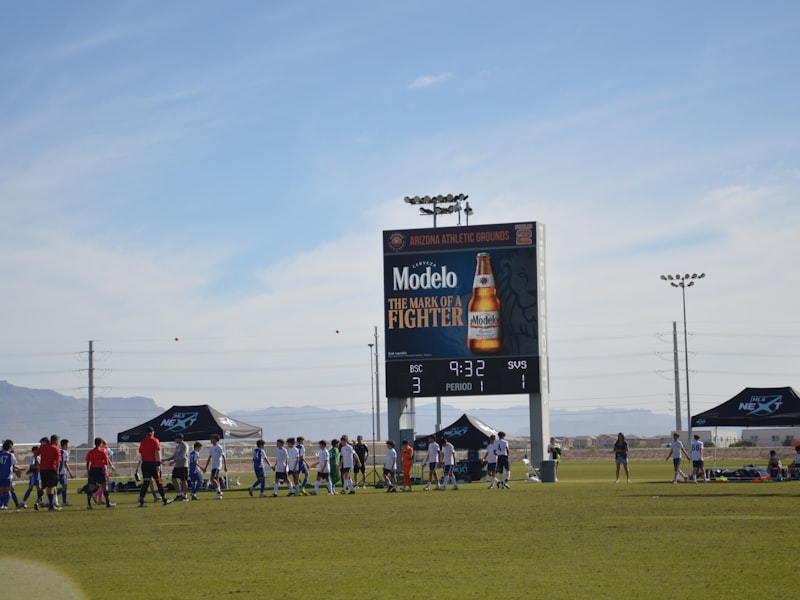 Cardboard Kingdoms